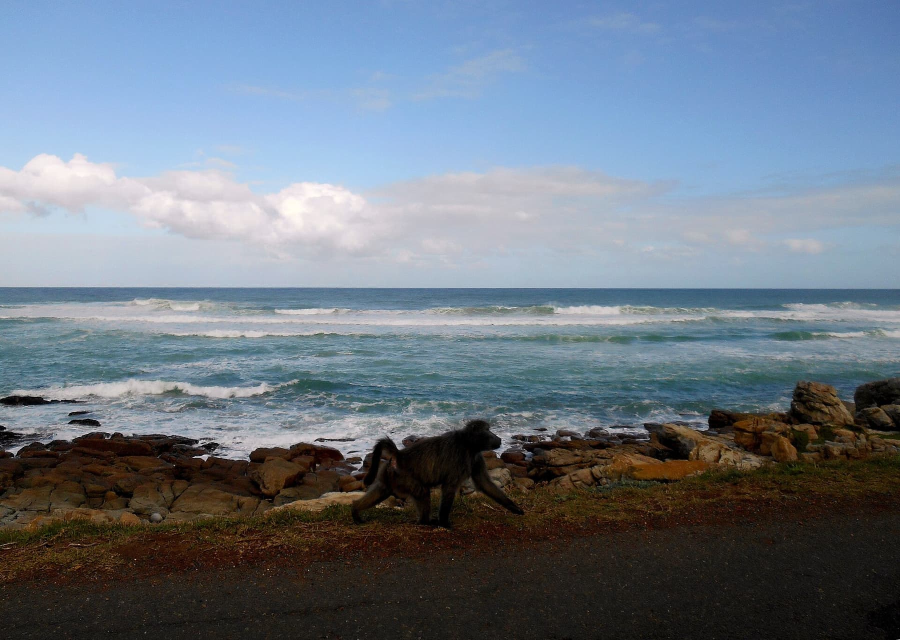 The rocky coastline at the Cape of Good Hope