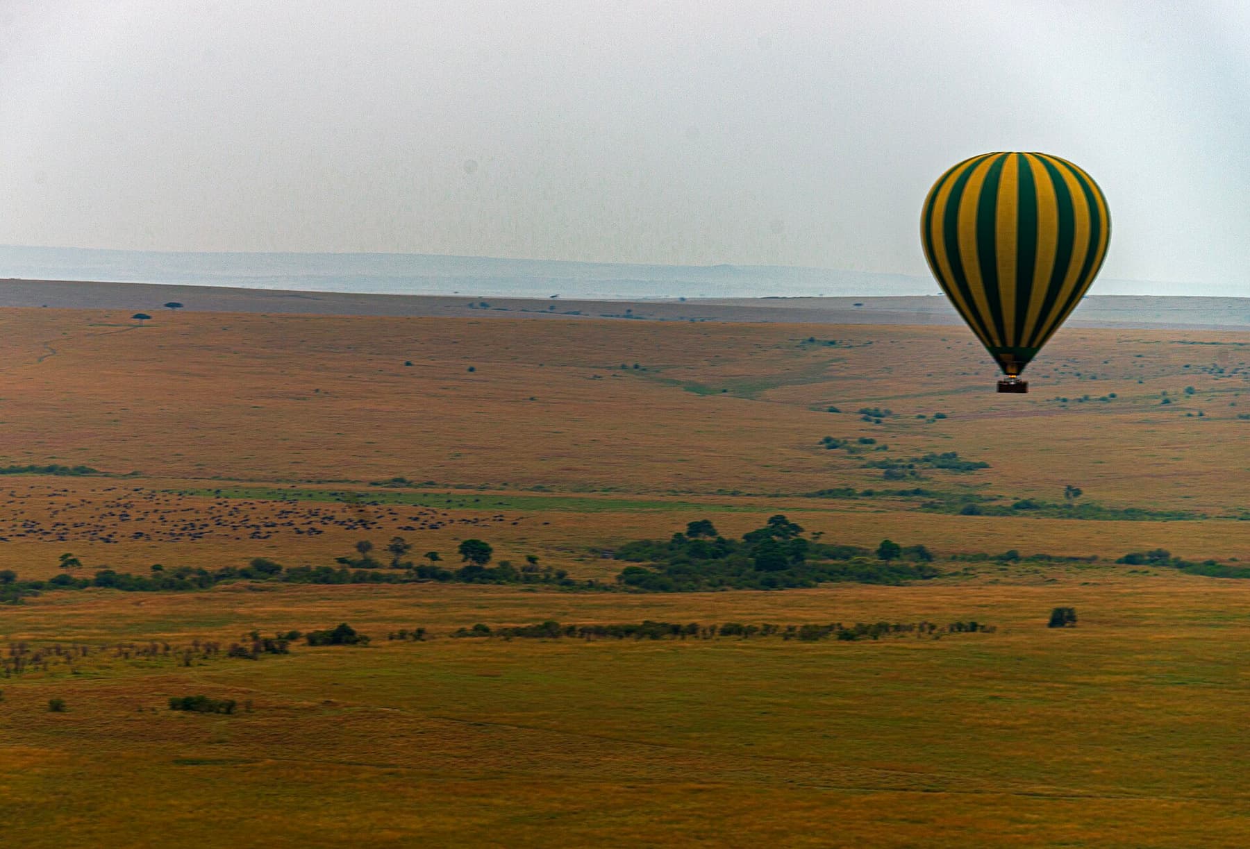 A balloon lifting off over the Mara at sunrise
