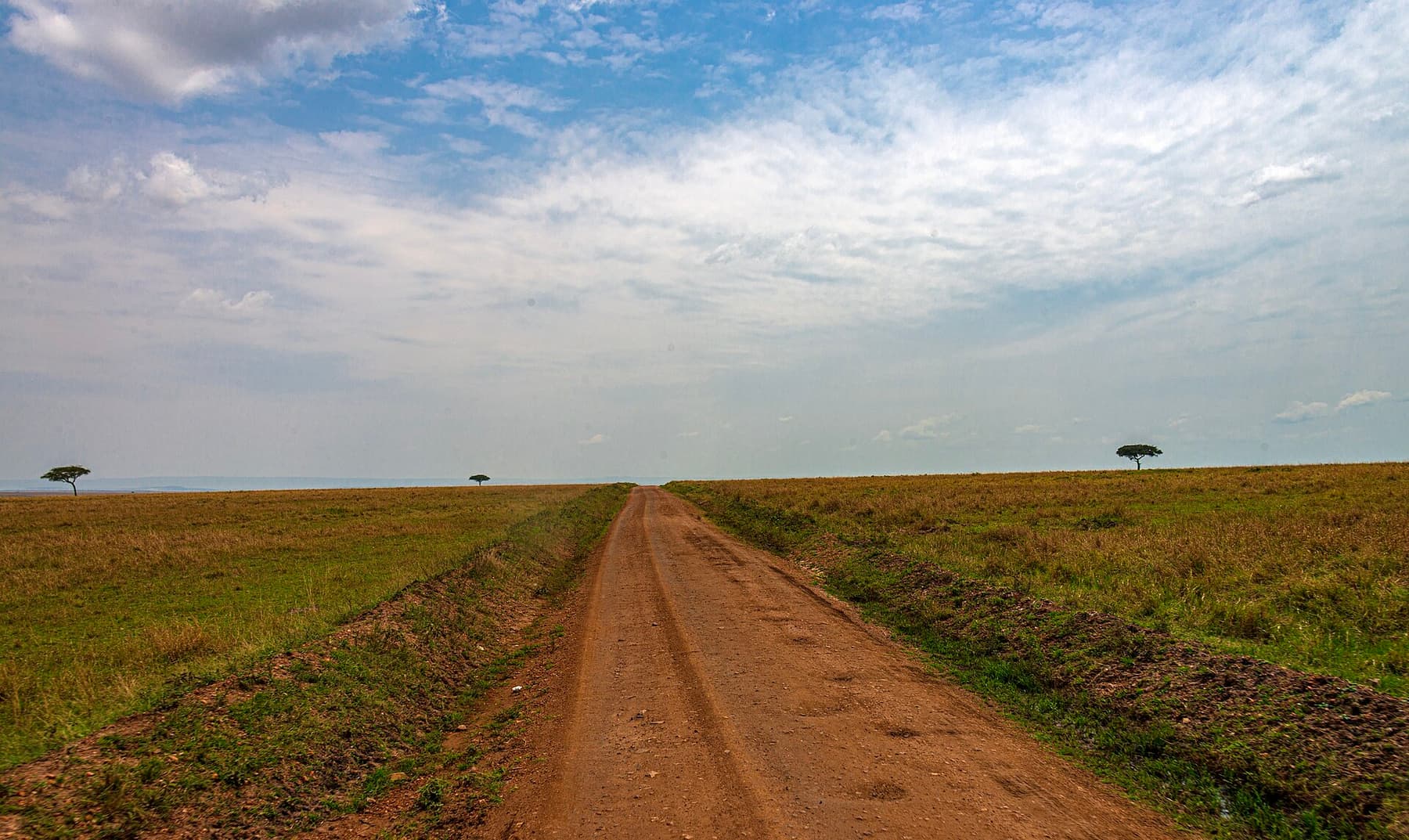A safari track curving away across the Mara plains