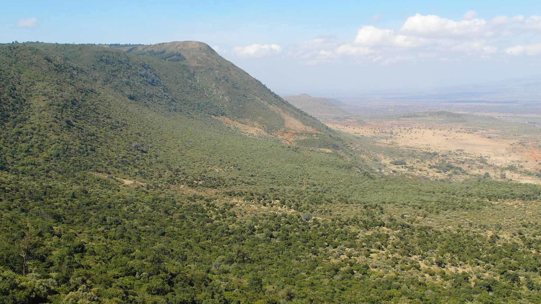 Looking out over the Great Rift Valley