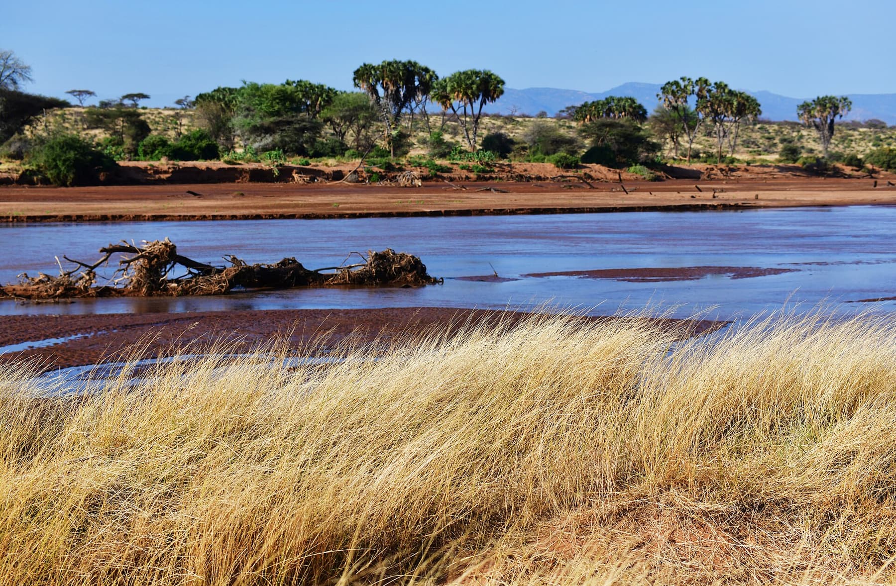 The Ewaso Ng'iro river running through the dry Samburu country