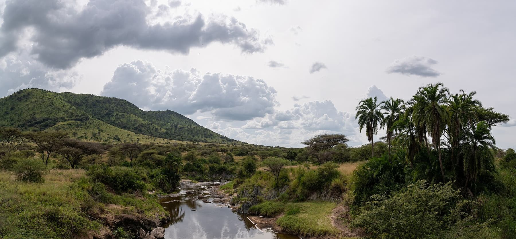An oasis of green in the dry Serengeti