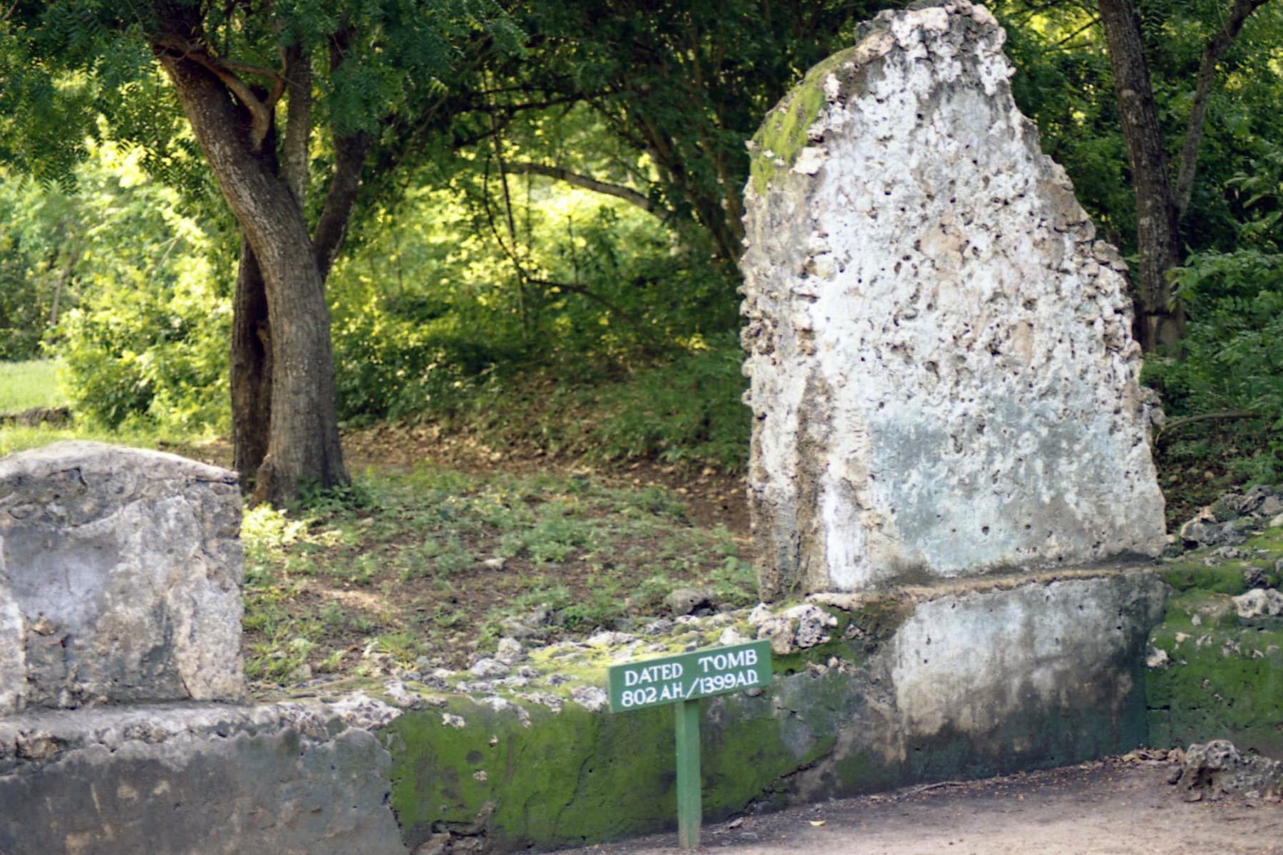 The thirteenth-century Gede ruins standing in coastal forest